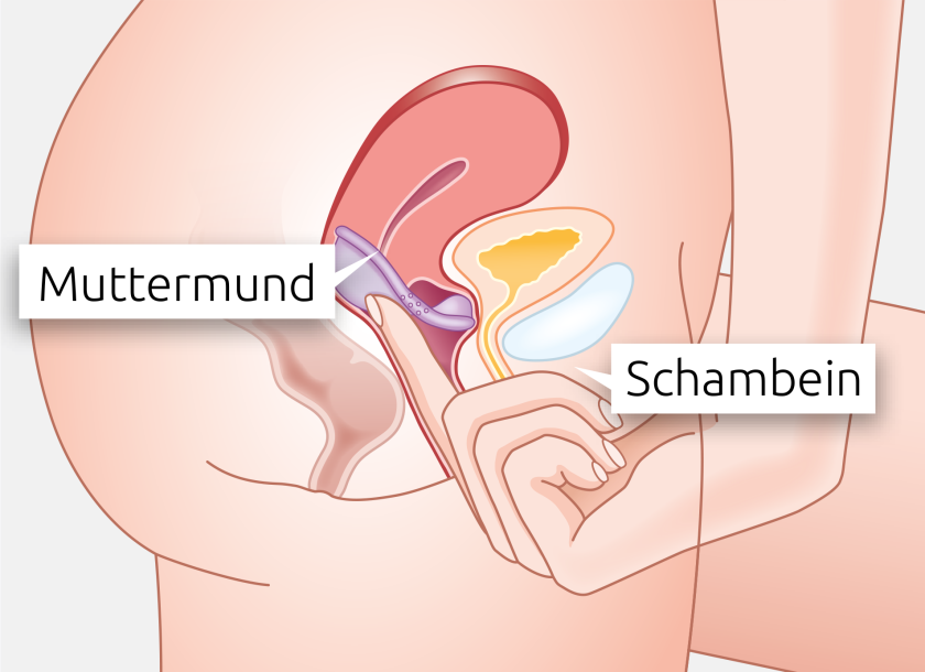 5 caya gebrauchsanweisung korrekter sitz